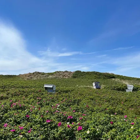 Norderhof Kliffsand 15