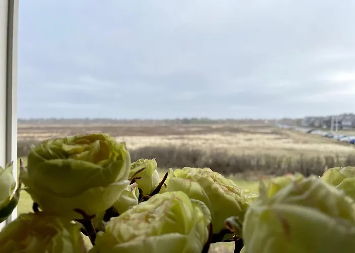 Norderhof Kliffsand 15 Lägenhet Kampen