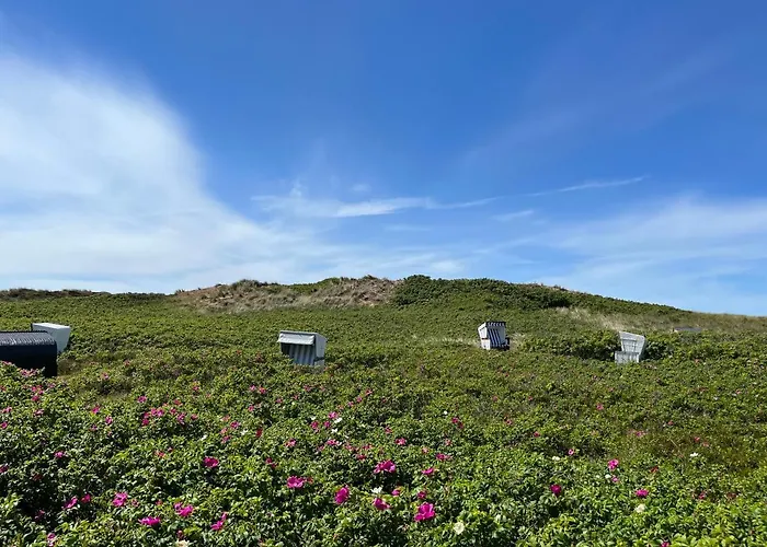 Norderhof Kliffsand 15